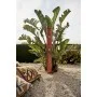Ducha solar Formidra Jolly GO TERRACOTA