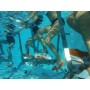 Bicicleta aquafitness Waterflex WR5